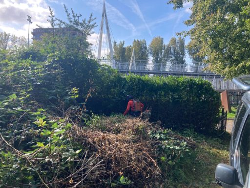 Persoon in oranje vest werkt tussen struiken en bomen, met een voertuig op de achtergrond.