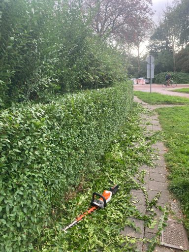 Scherpe haag met gesnoeide bladeren en een elektrisch snoeigereedschap op de grond.