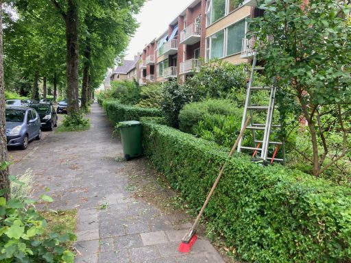 Straatbeeld met een ladder, heg, en een groene vuilnisbak langs de stoep.