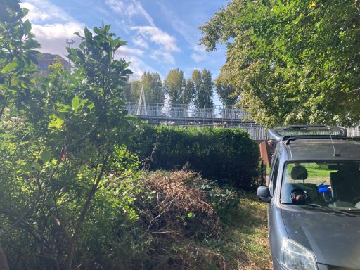 Zicht op een groene omgeving met bomen, een voertuig en struiken.
