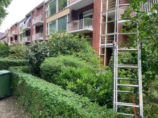 Bovenaanzicht van een tuin met heggen, een ladder en appartementen op de achtergrond.
