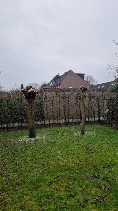 Twee houten palen staan in een groene tuin met een grijze lucht op de achtergrond.