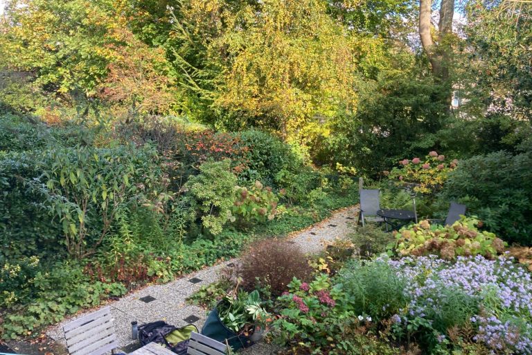 Een weelderige tuin met diverse planten en een zitgedeelte. Galama Tuinverzorging snoeit hier de heesters, bomen en de laurier. tuinhulp