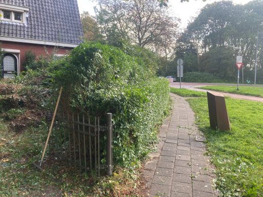 Groene haag naast een betegeld pad en een huisje, met een houten bordje in de buurt.
