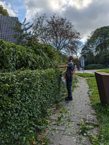 Een man snoeit een haag in een groene omgeving met bomen en een pad.