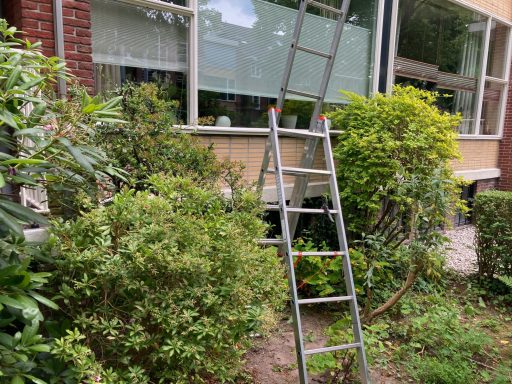 Een stalen ladder staat bij een bushoek naast een huis met een raam.